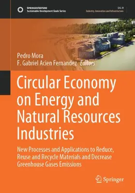 Acien Fernandez / Mora |  Circular Economy on Energy and Natural Resources Industries | Buch |  Sack Fachmedien