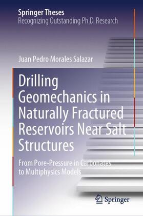 Morales Salazar |  Drilling Geomechanics in Naturally Fractured Reservoirs Near Salt Structures | Buch |  Sack Fachmedien