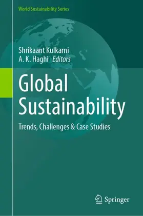 Haghi / Kulkarni |  Global Sustainability | Buch |  Sack Fachmedien