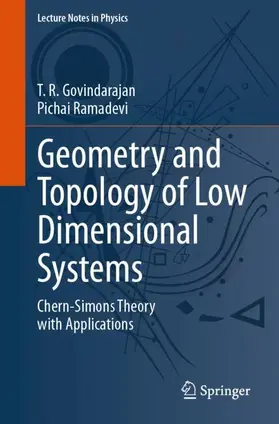 Ramadevi / Govindarajan |  Geometry and Topology of Low Dimensional Systems | Buch |  Sack Fachmedien