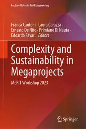 Cantoni / Corazza / De Nito |  Complexity and Sustainability in Megaprojects | eBook | Sack Fachmedien