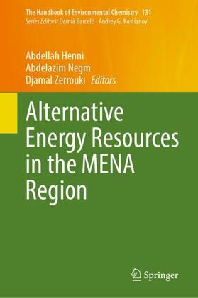 Henni / Zerrouki / Negm |  Alternative Energy Resources in the MENA Region | Buch |  Sack Fachmedien