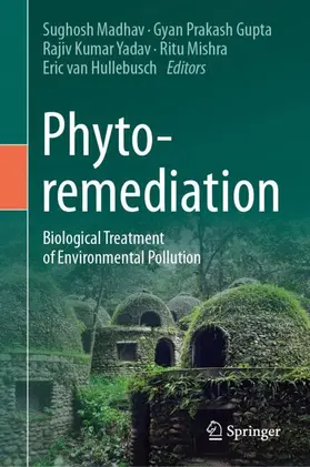 Madhav / Gupta / Hullebusch |  Phytoremediation | Buch |  Sack Fachmedien