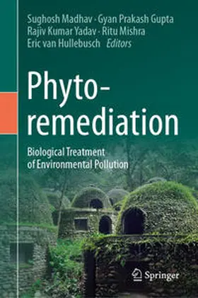 Madhav / Gupta / Yadav |  Phytoremediation | eBook | Sack Fachmedien