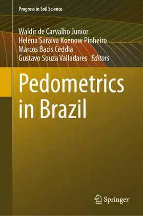 de Carvalho Junior / Souza Valladares / Saraiva Koenow Pinheiro |  Pedometrics in Brazil | Buch |  Sack Fachmedien