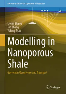 Zhang / Zhao |  Modelling in Nanoporous Shale | eBook | Sack Fachmedien