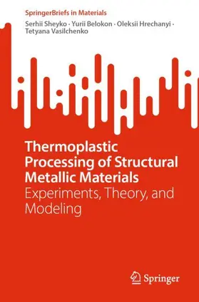 Sheyko / Vasilchenko / Belokon |  Thermoplastic Processing of Structural Metallic Materials | Buch |  Sack Fachmedien