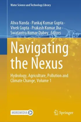 Nanda / Gupta / Dubey |  Navigating the Nexus | Buch |  Sack Fachmedien