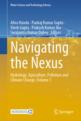 Nanda / Gupta / Jha |  Navigating the Nexus | eBook | Sack Fachmedien