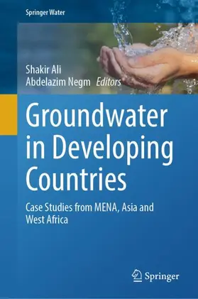 Negm / Ali |  Groundwater in Developing Countries | Buch |  Sack Fachmedien