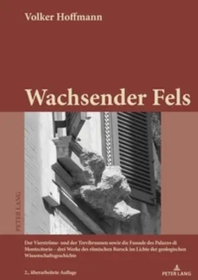 Hoffmann |  Wachsender Fels | Buch |  Sack Fachmedien