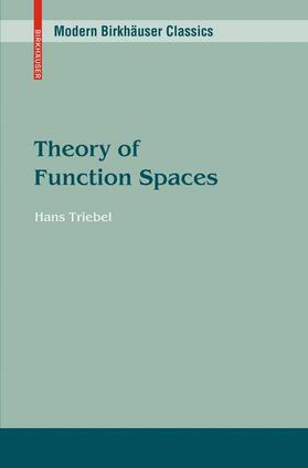 Triebel |  Theory of Function Spaces | Buch |  Sack Fachmedien