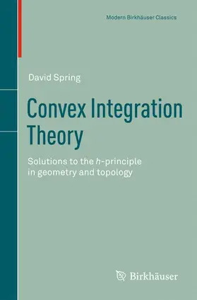 Spring |  Convex Integration Theory | Buch |  Sack Fachmedien