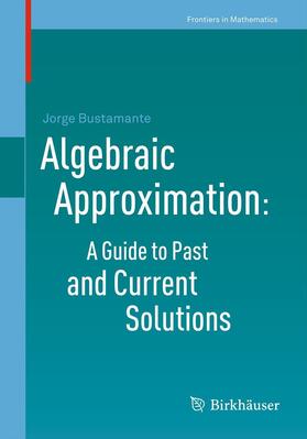 Bustamante |  Algebraic Approximation: A Guide to Past and Current Solutions | Buch |  Sack Fachmedien