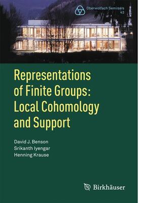 Benson / Iyengar / Krause |  Representations of Finite Groups: Local Cohomology and Support | Buch |  Sack Fachmedien