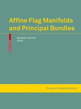 Schmitt |  Affine Flag Manifolds and Principal Bundles | Buch |  Sack Fachmedien