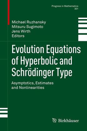 Ruzhansky / Wirth / Sugimoto |  Evolution Equations of Hyperbolic and Schrödinger Type | Buch |  Sack Fachmedien