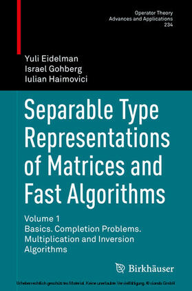 Eidelman / Gohberg / Haimovici |  Separable Type Representations of Matrices and Fast Algorithms | eBook | Sack Fachmedien