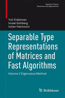 Eidelman / Haimovici / Gohberg |  Separable Type Representations of Matrices and Fast Algorithms | Buch |  Sack Fachmedien