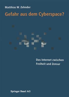 Zehnder |  Gefahr aus dem Cyberspace? | Buch |  Sack Fachmedien