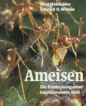 Hölldobler / Wilson |  Ameisen | eBook | Sack Fachmedien