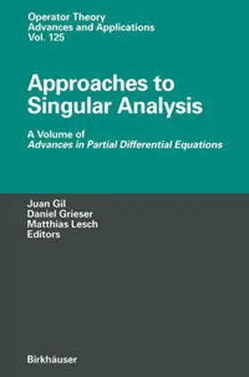 Gil / Grieser / Lesch |  Approaches to Singular Analysis | eBook | Sack Fachmedien