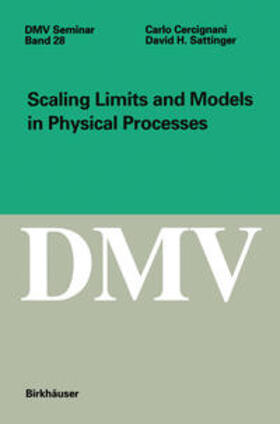 Cercignani / Sattinger |  Scaling Limits and Models in Physical Processes | eBook | Sack Fachmedien