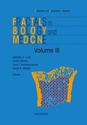 Losa / Weibel / Merlini |  Fractals in Biology and Medicine | Buch |  Sack Fachmedien