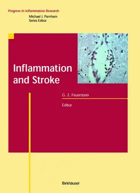 Feuerstein |  Inflammation and Stroke | Buch |  Sack Fachmedien