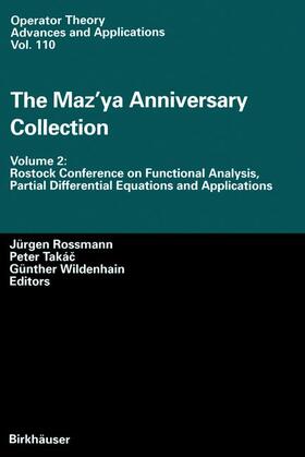 Rossmann / Wildenhain / Takac |  The Maz¿ya Anniversary Collection | Buch |  Sack Fachmedien