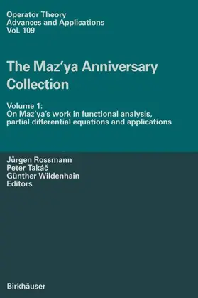 Rossmann / Wildenhain / Takac |  The Maz¿ya Anniversary Collection | Buch |  Sack Fachmedien