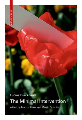 Burckhardt / Ritter / Schmitz |  The Minimal Intervention | Buch |  Sack Fachmedien
