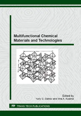 Slizhov / Kurzina |  Multifunctional Chemical Materials and Technologies | eBook | Sack Fachmedien