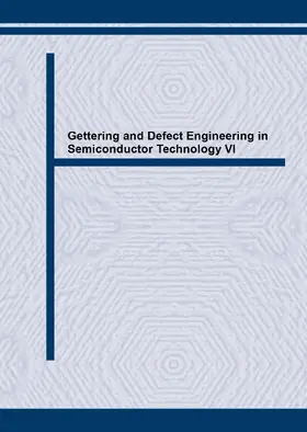 Richter / Kittler / Claeys |  Gettering and Defect Engineering in Semiconductor Technology VI | eBook | Sack Fachmedien