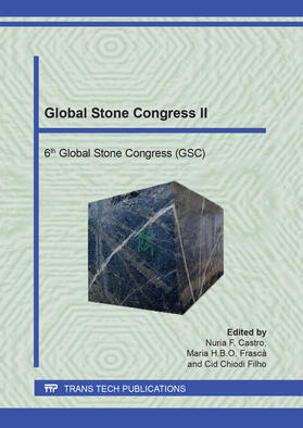 Castro / Frascá / Filho | Global Stone Congress II | Buch | 978-3-0357-1524-8 | sack.de