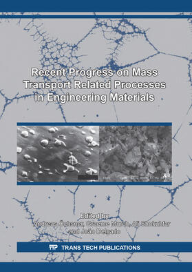 Öchsner / Murch / Shokuhfar |  Recent Progress on Mass Transport Related Processes in Engineering Materials | Buch |  Sack Fachmedien