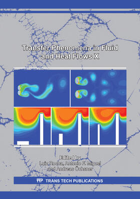 Rocha / Miguel / Öchsner | Transfer Phenomena in Fluid and Heat Flows X | Buch | 978-3-0357-1592-7 | sack.de
