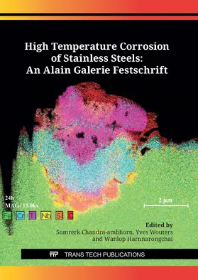 Chandra-Ambhorn / Wouters / Harnnarongchai |  High Temperature Corrosion of Stainless Steels: An Alain Galerie Festschrift | eBook | Sack Fachmedien