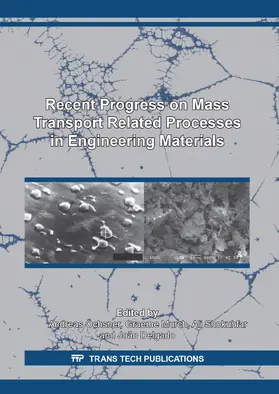 Öchsner / Murch / Shokuhfar |  Recent Progress on Mass Transport Related Processes in Engineering Materials | eBook | Sack Fachmedien