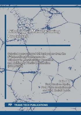 Ngaile / Montmitonnet / Dohda |  Tribology in Manufacturing Processes | eBook | Sack Fachmedien