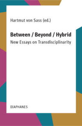 Sass |  Between / Beyond / Hybrid | Buch |  Sack Fachmedien