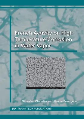 Chevalier / Favergeon |  French Activity on High Temperature Corrosion in Water Vapor | Buch |  Sack Fachmedien