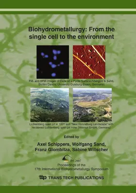 Schippers / Sand / Glombitza |  Biohydrometallurgy: From the Single Cell to the Environment | eBook | Sack Fachmedien