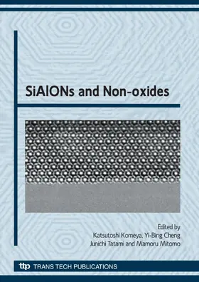 Komeya / Cheng / Tatami |  SiAlONs and Non-oxides | eBook | Sack Fachmedien