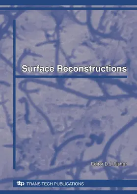 Fisher |  Surface Reconstructions | eBook | Sack Fachmedien