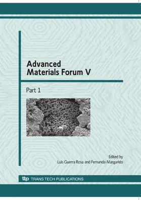 Rosa / Margarido |  Advanced Materials Forum V | eBook | Sack Fachmedien