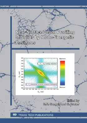 Ganguly / Brauer |  Near-Surface Depth Profiling of Solids by Mono-Energetic Positrons | eBook | Sack Fachmedien