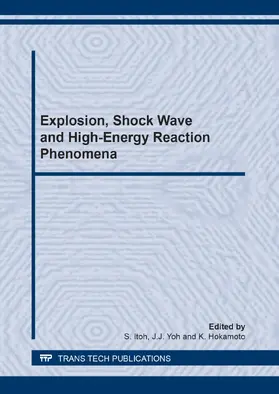 Itoh / Yoh / Hokamoto |  Explosion, Shock Wave and High-Energy Reaction Phenomena | eBook | Sack Fachmedien