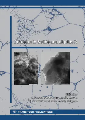 Öchsner / Murch / Shokuhfar |  Diffusion in Solids and Liquids X | eBook | Sack Fachmedien