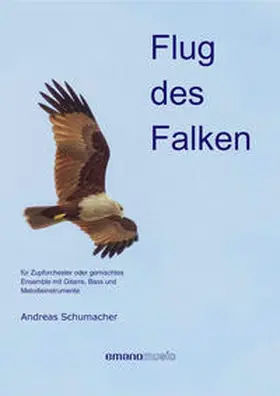  Flug des Falken | Buch |  Sack Fachmedien